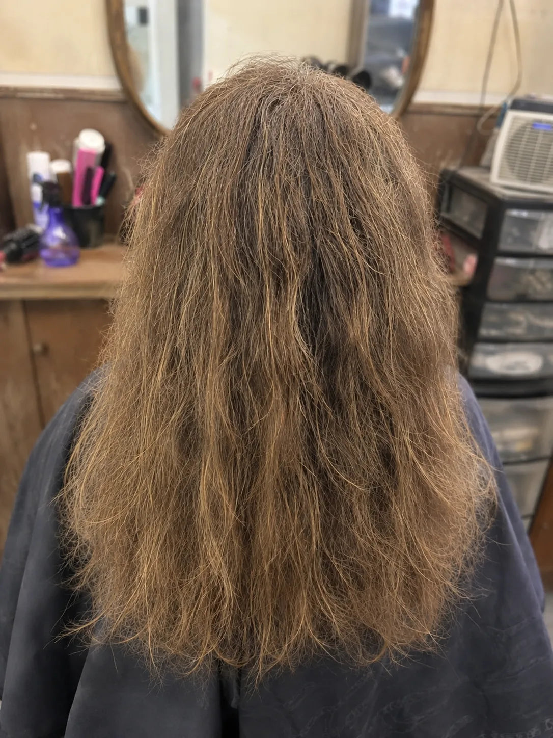 Back view of visibly dry, frizzy hair in an everyday salon setting